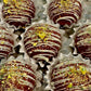 Dubai Chocolate Cake Truffles